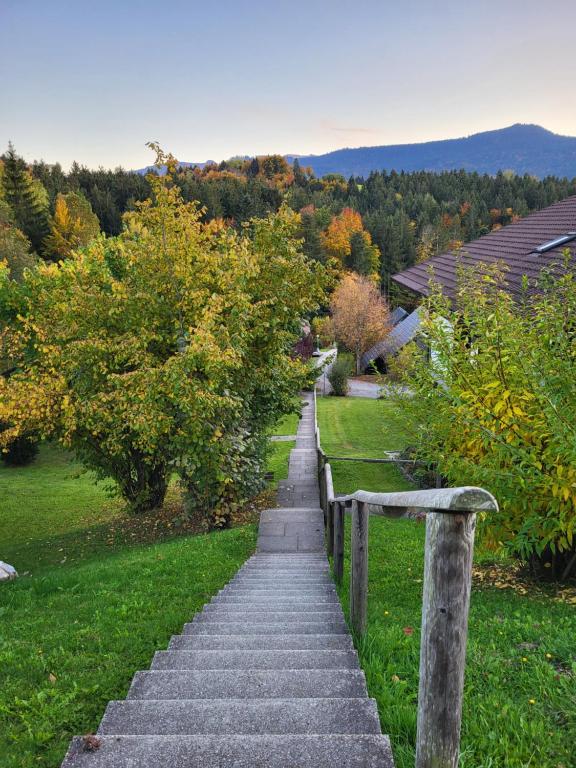 Příroda nedaleko apartmánu