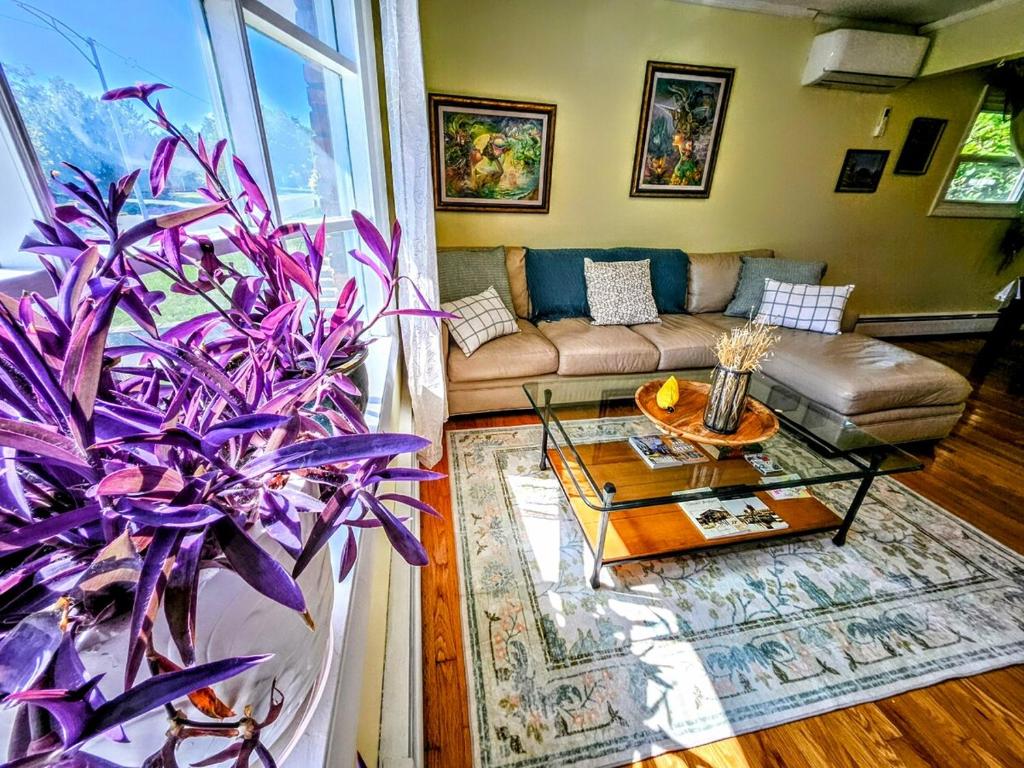 a living room with a couch and a table at 3 Bedroom 2 Bath, 120 protector, 600MB WIFI in Albany
