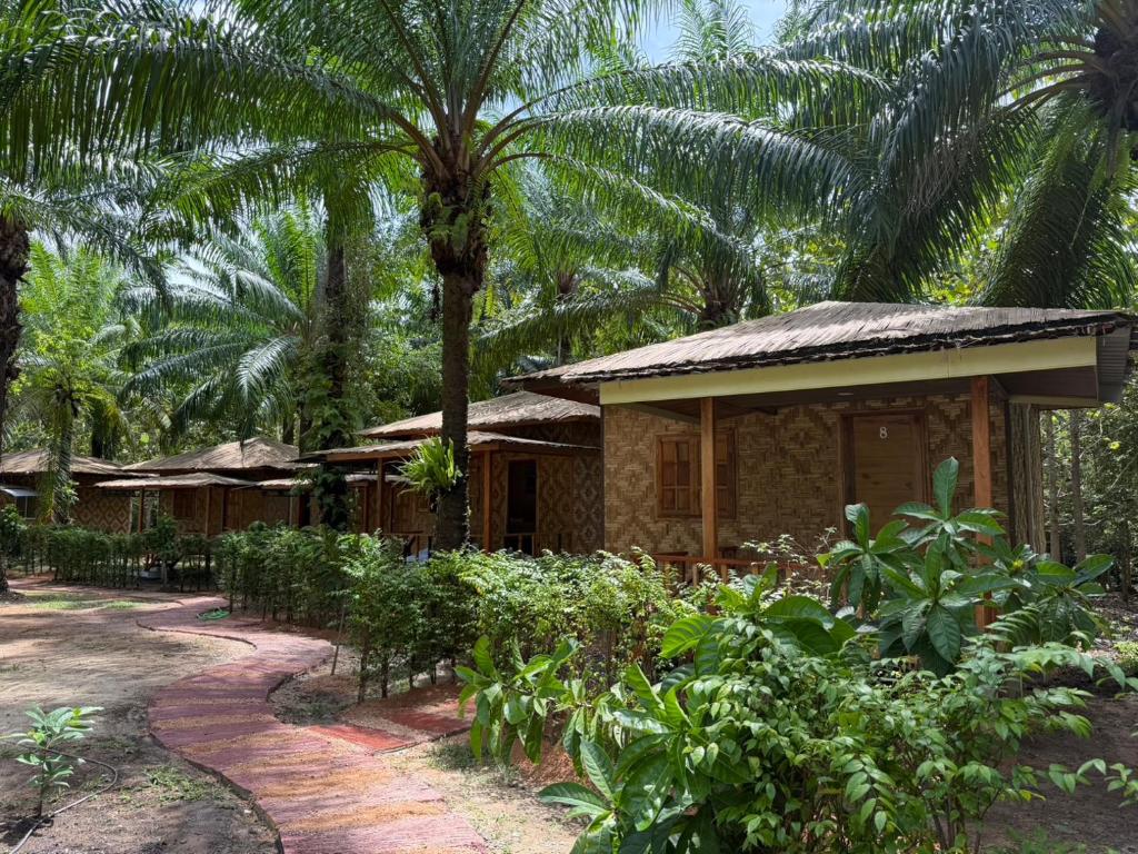 une maison au milieu d'une forêt avec des palmiers dans l'établissement Lak Kao Nai Resort หลักเก้า ไนท์ รีสอร์ท, à Ban Pha Saeng Lang