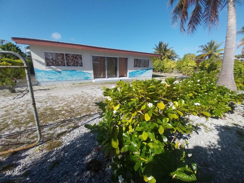 Chez les Ami's Rangiroa - hébergement à Rangiroa