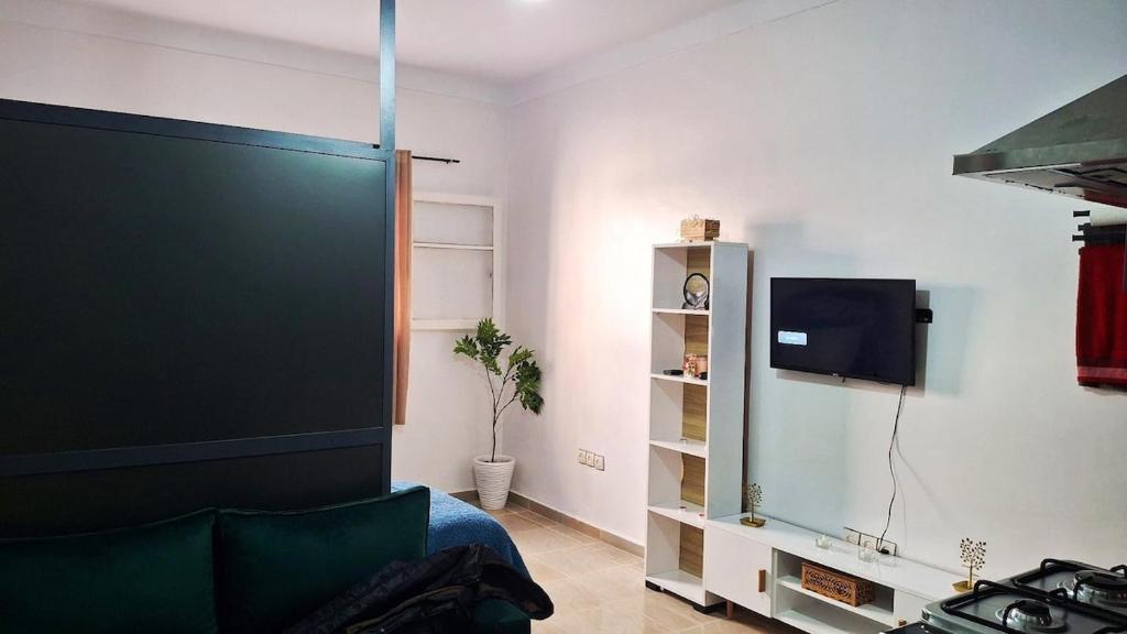 een woonkamer met een groene bank en een tv bij Apartment Comfortable furnished studio in Sale