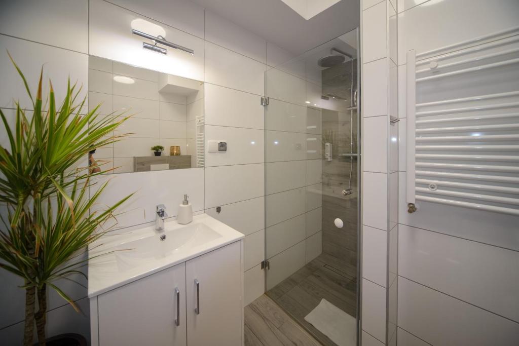 Maya's Apartments - Resim 14