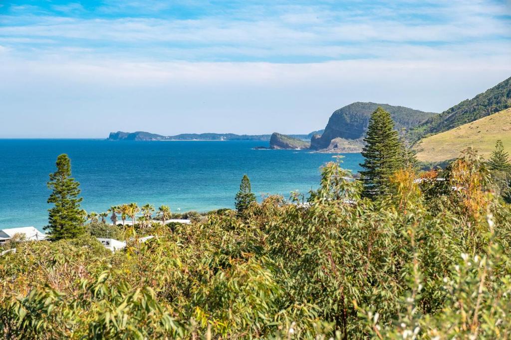 a view of the ocean from a hill with trees at Eureka in Boomerang Beach
