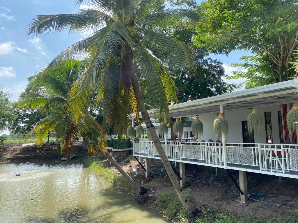 a house with a palm tree next to a body of water at Pun's Garden Home in Ban Sao Thong