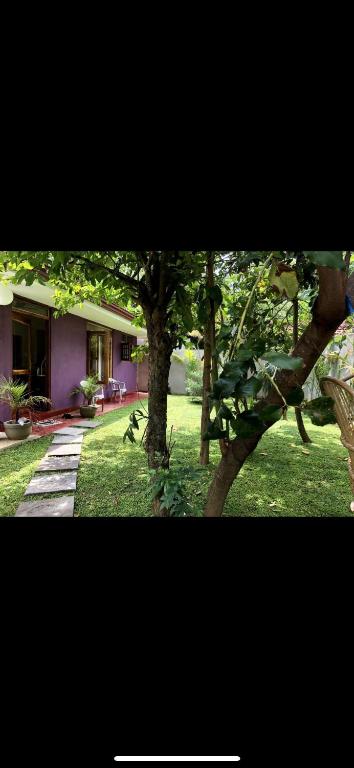 a picture of a house with a tree in the yard at The Little House in Hiriketiya
