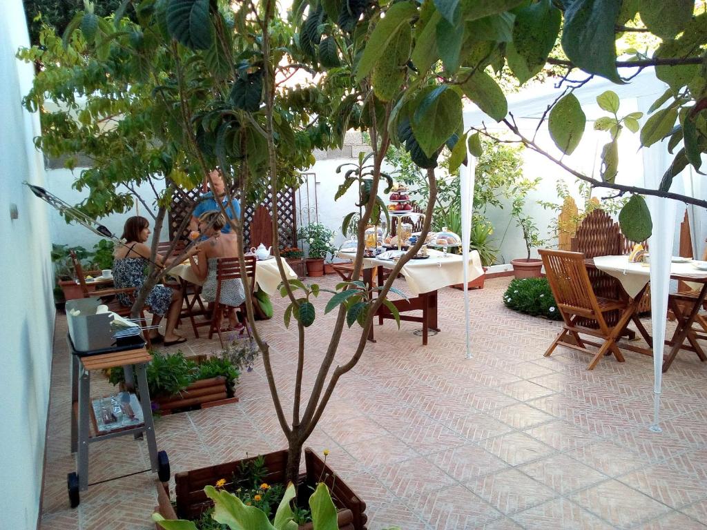 Zahrada ubytování B&B Historia Magistra