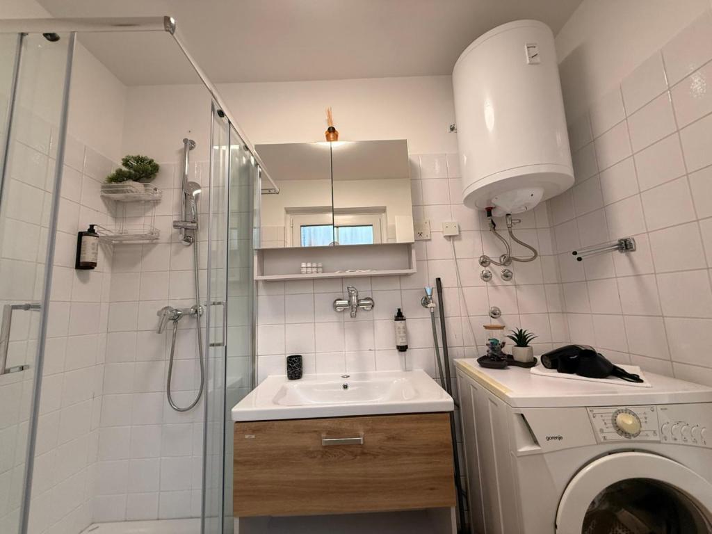 une salle de bain avec douche et lavabo et une machine à laver dans l'établissement Apartment by MICHELLE, à Čatež ob Savi