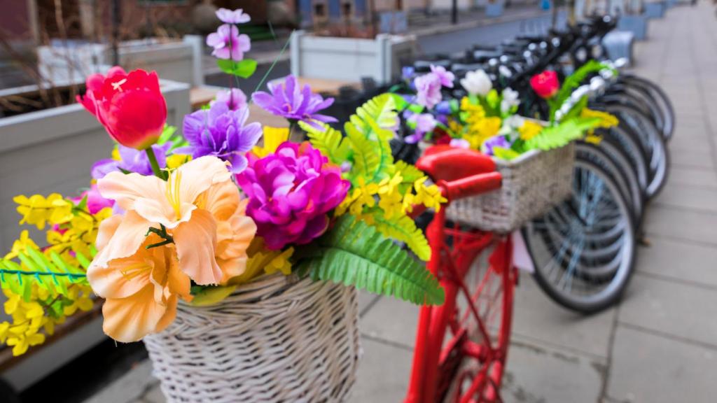 Maya's Flats & Resorts 19 & 20 - Ogarna - 16