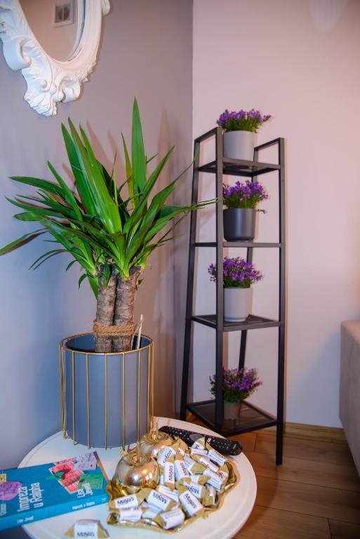 Maya's Flats & Resorts 19 & 20 - Ogarna - Resim 38