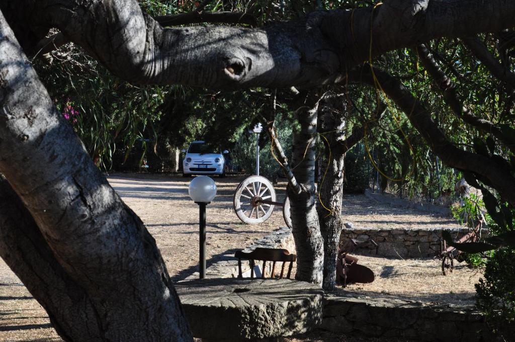 a tree with a swing in a park at Agriturismo Vaddidulimu in Luogosanto