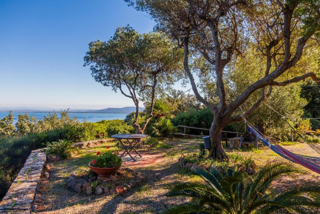 un hamac dans un jardin avec vue sur l'eau dans l'établissement Villa Luce, à Porto Santo Stefano