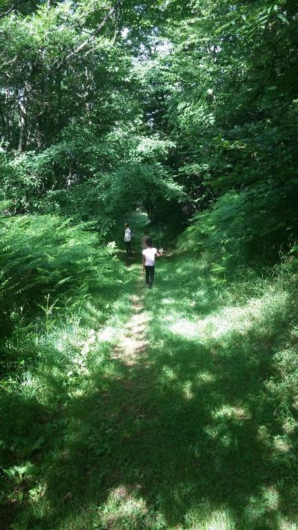 two people walking down a path in the woods at Gîte Orus in Orus