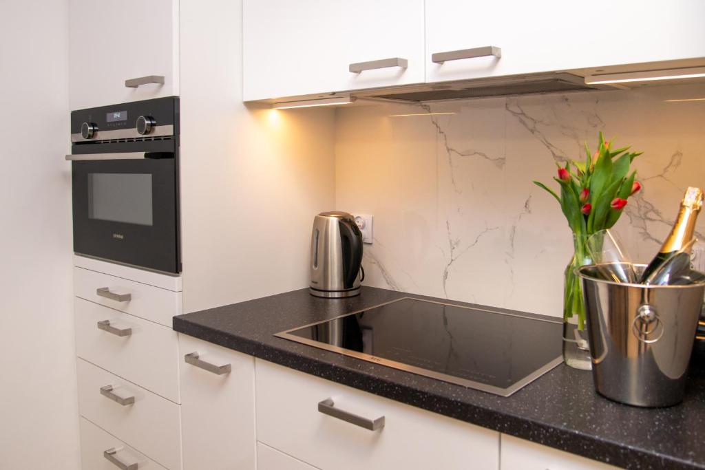 Maya's Flats & Resorts 49 - spacious 3 rooms apart - 9