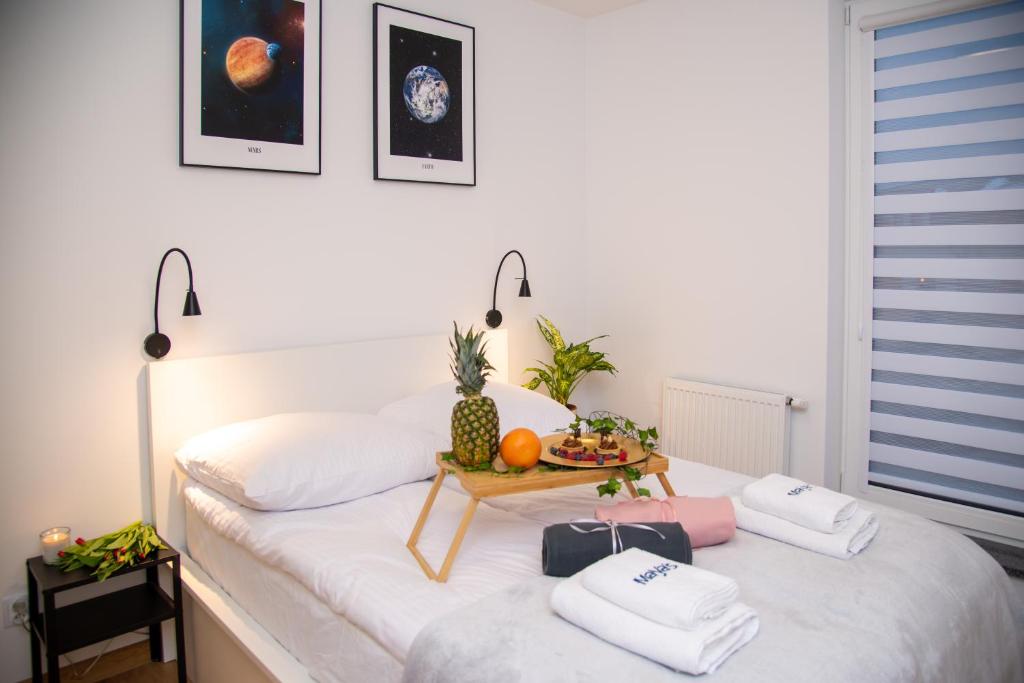 Maya's Flats & Resorts 49 - spacious 3 rooms apart - 12