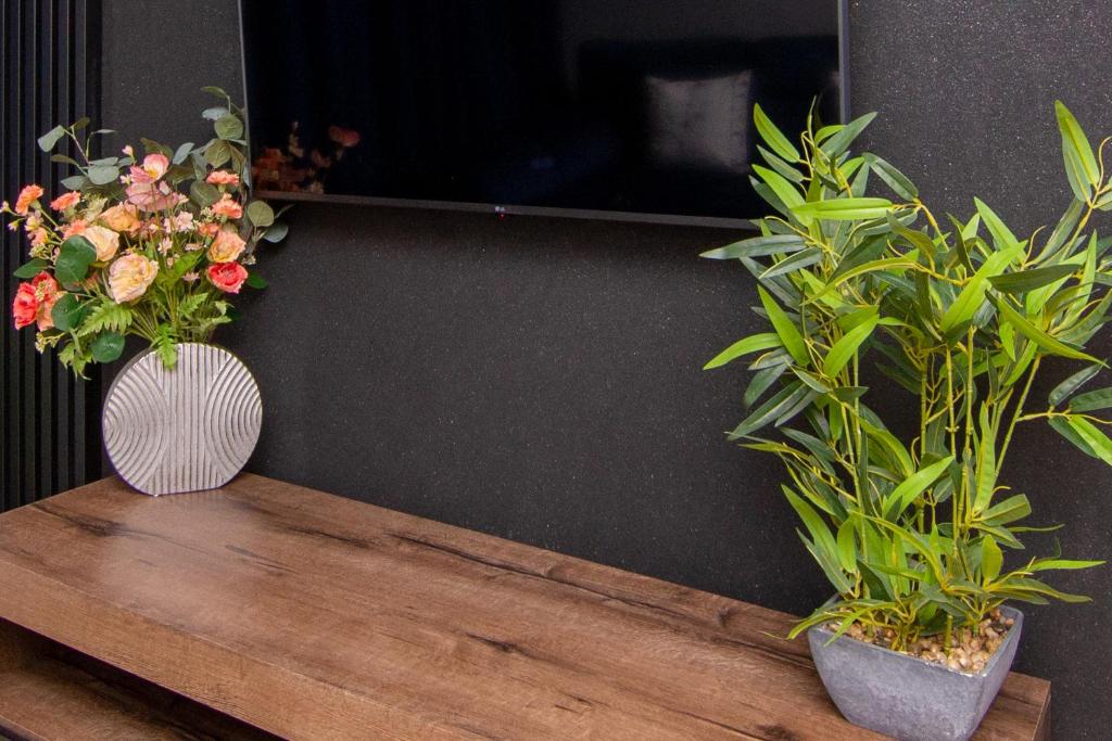 Maya's Flats & Resorts 50 - Aura 40 - 10