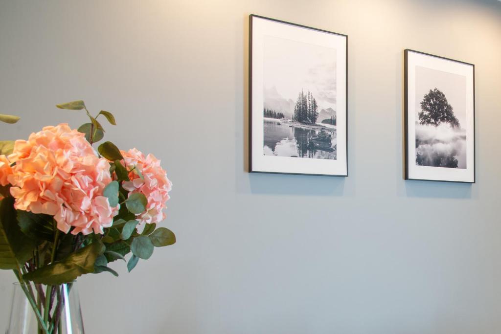 Maya's Flats & Resorts 50 - Aura 40 - 9