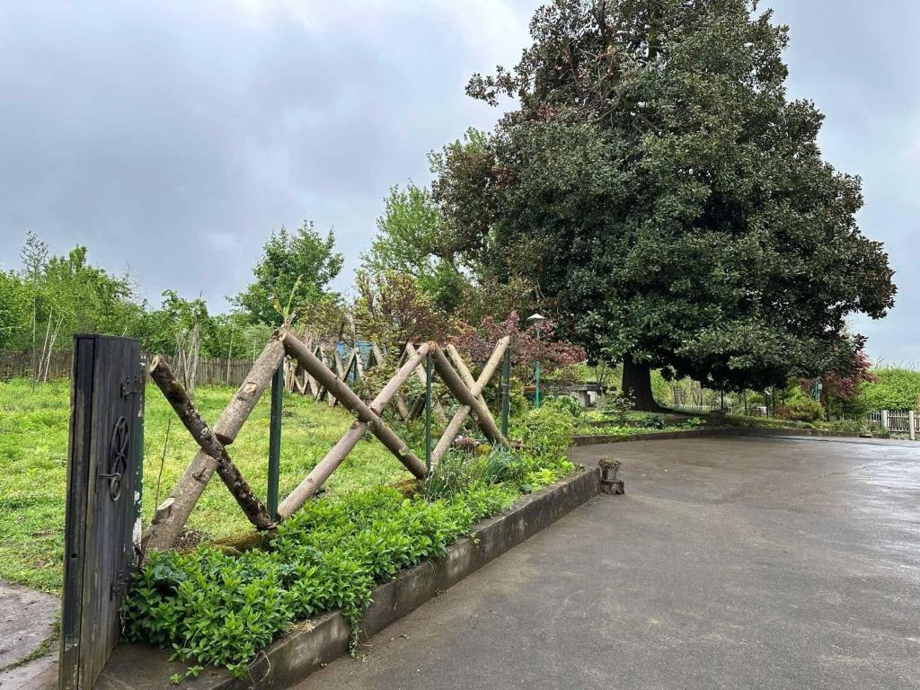 a wooden fence in front of a parking lot at Niko Mamasakhlisi Guest House in Ozurgetʼi