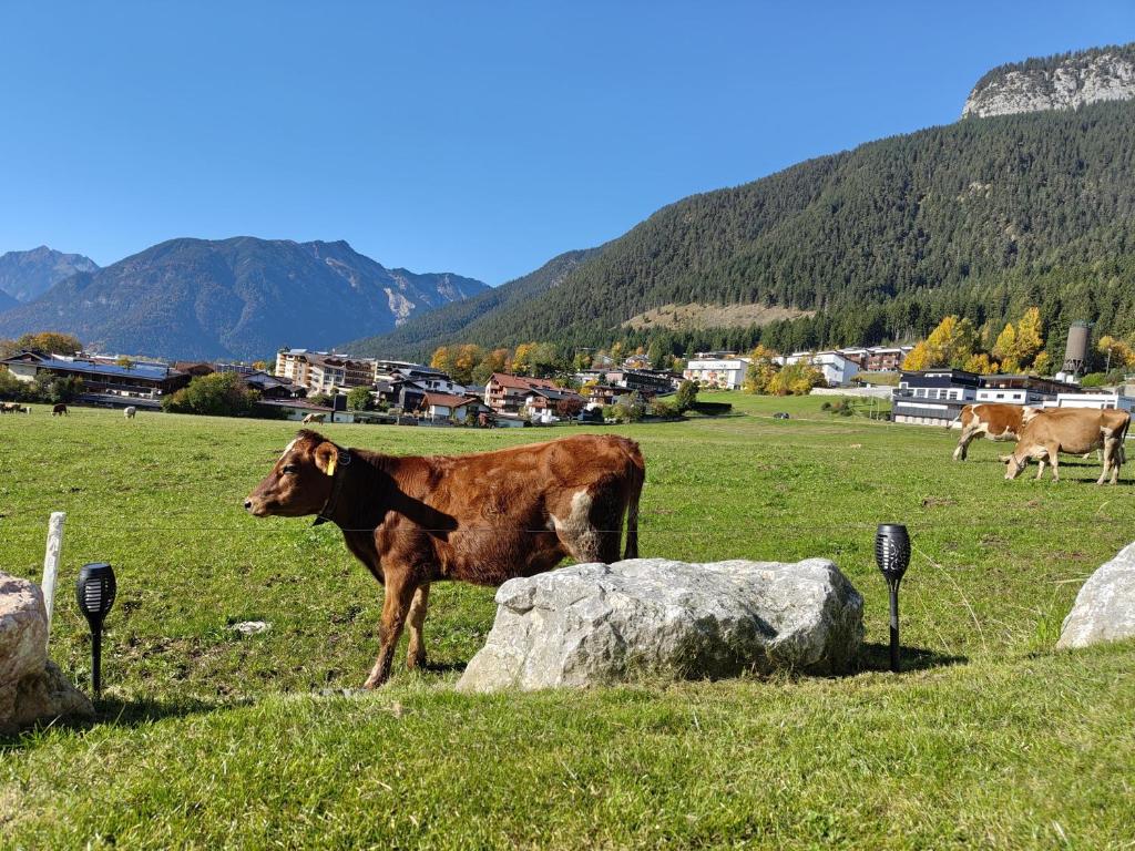 Afbeelding uit fotogalerij van Bichler's Alpennest in Maurach