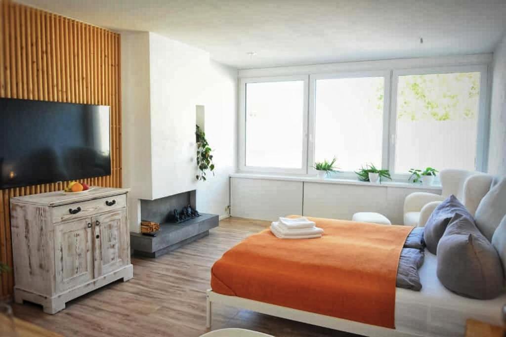 a living room with a large flat screen tv at Apartment mitten in Rosenheim in Rosenheim