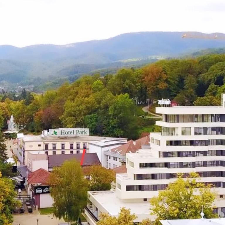 a large white building in a town with trees at Studio Janko in Vrnjačka Banja