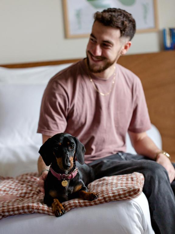 ALFRED HOTELS Compiègne - 3