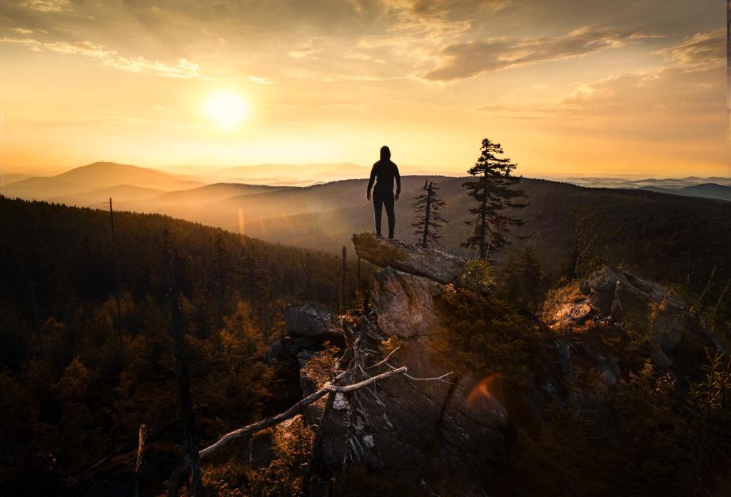 Bayerische Gastwirtschaft Dimpfl-Stadl - 4