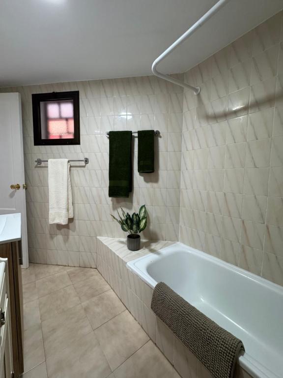 ein Badezimmer mit einer Badewanne und einer Topfpflanze in der Unterkunft Apartamento Victoria in Mogán