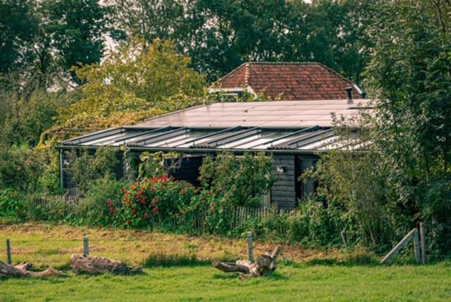 a house with a roof in a field at Logement de Appelgaard in Culemborg