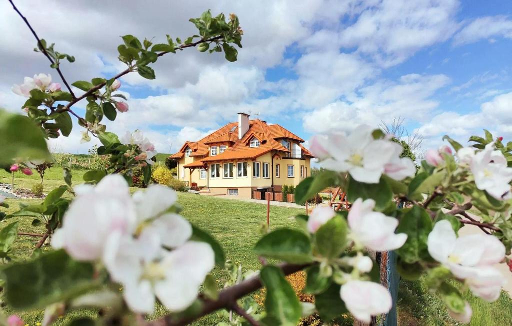ein Haus auf einem Hügel mit rosa Blumen in der Unterkunft 1 Bedroom Lovely Apartment In Golubie in Pierszczewo