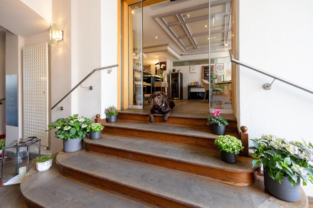 MAXIMILIAN MUNICH Apartments & Hotel - Resim 45