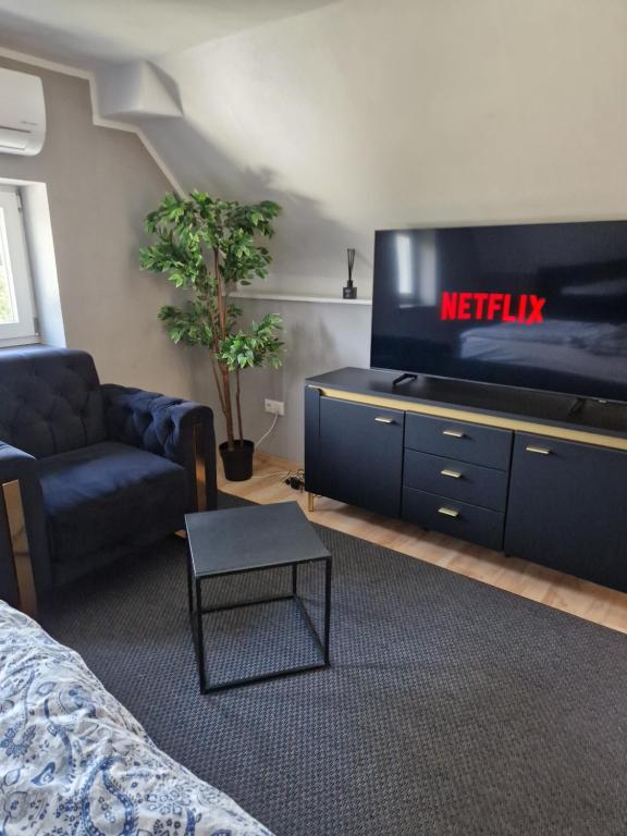a living room with a tv and a couch at Studio del Pueblo in Bechtsrieth