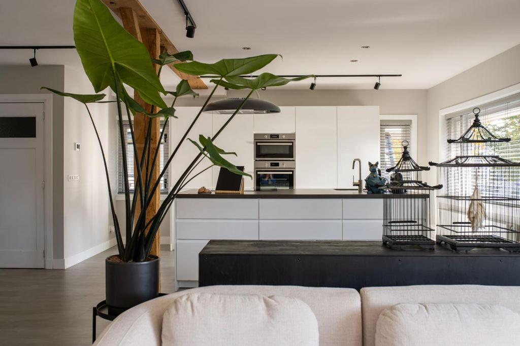 a living room with a couch and a kitchen at Tovve Loft in Schagen