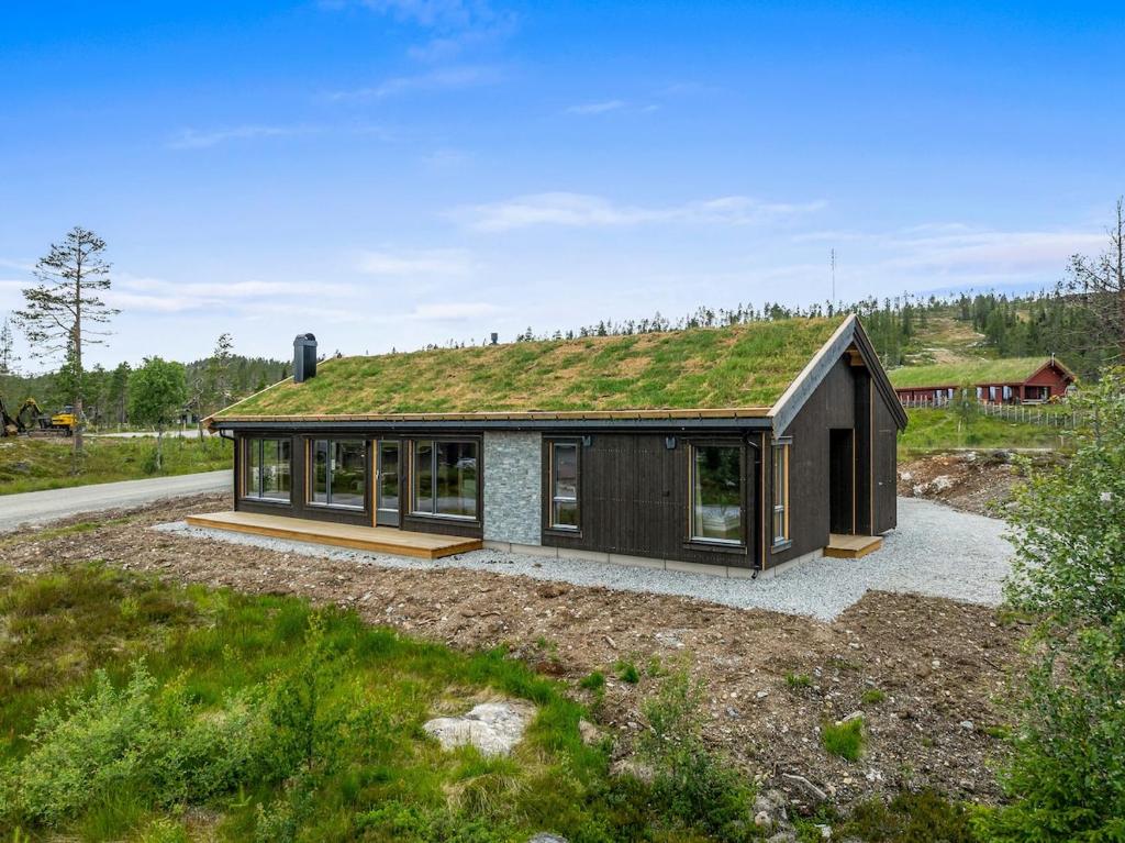a house with a grass roof at Sentralt plassert hytte, alt i gangavstand in Flå