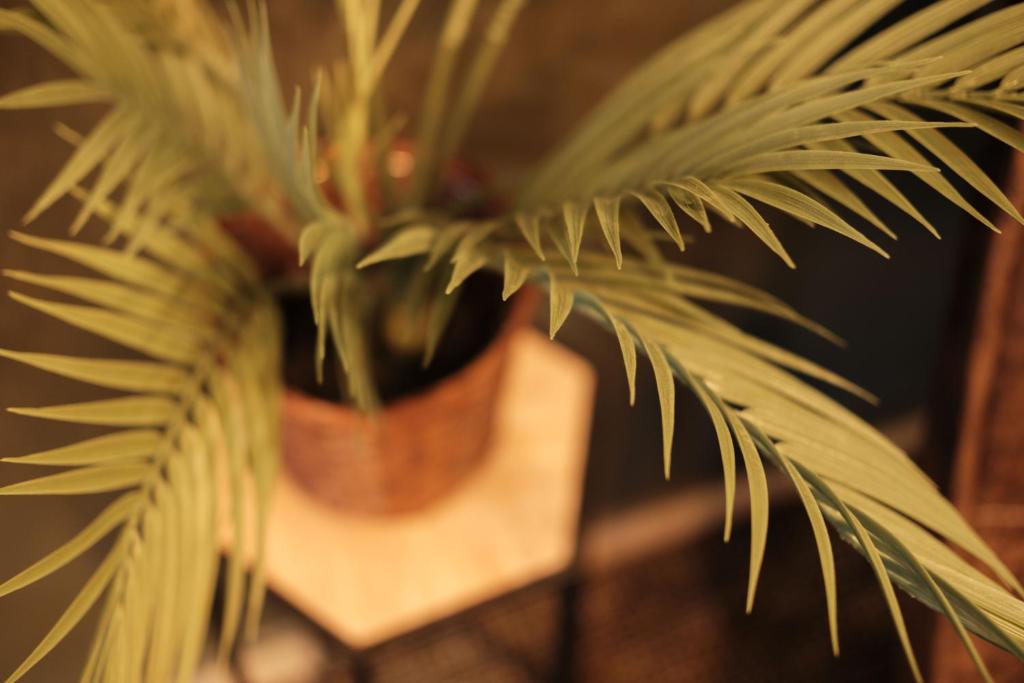 sQuare Hotel - Resim 27