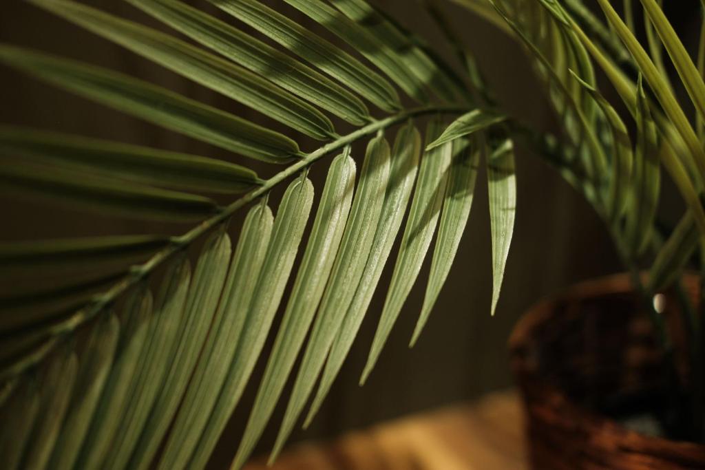 sQuare Hotel - Resim 26