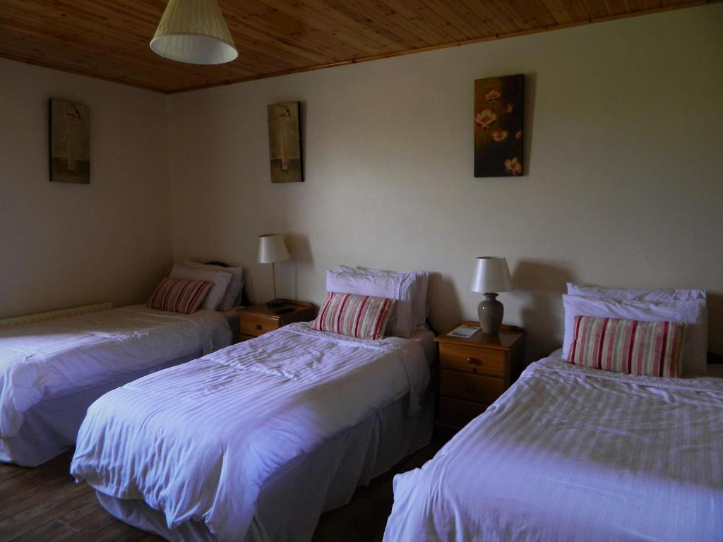 Postel nebo postele na pokoji v ubytování Doolin House