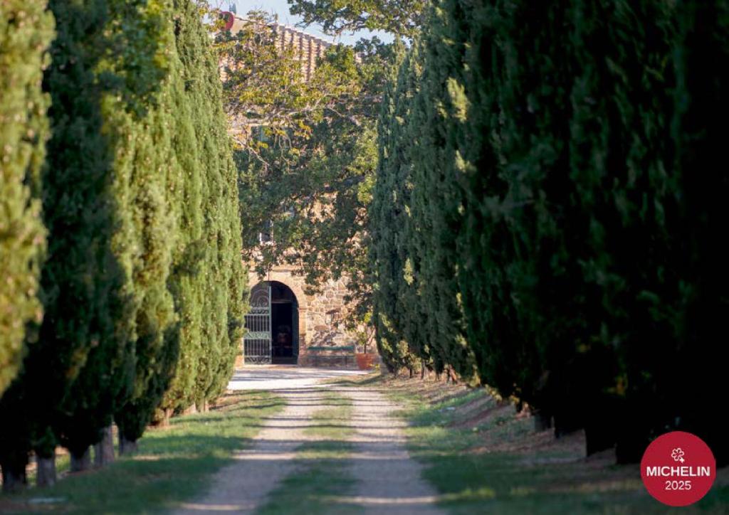 an avenue of trees with a gate in the distance at Villa Le Prata - Residenza del Vescovo - Cantina & Relais in Montalcino