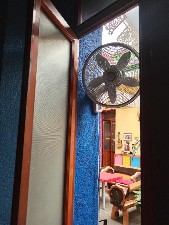 Iguana Hostel Oaxaca - Bed In 6-Bed Mixed Dormitory Room
