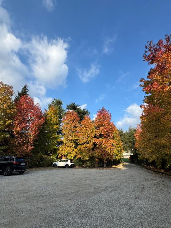 Parco Hotel Sassi - Resim 5