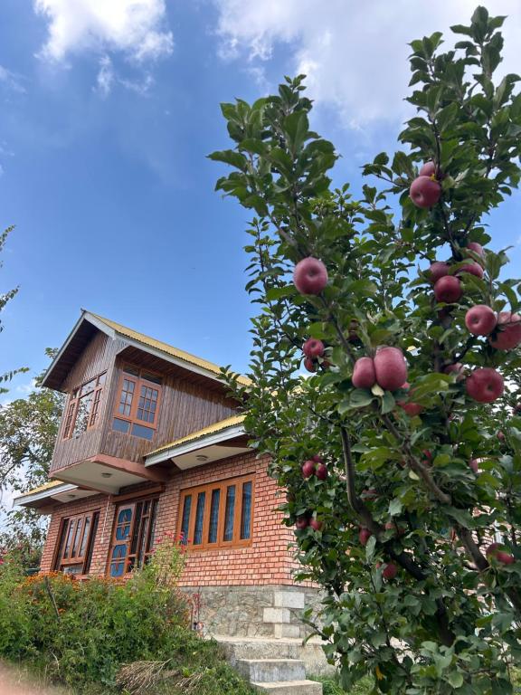 a house with an apple tree in front of it at The Mool Farm and Living in Tangmarg