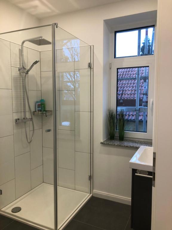 a glass shower in a bathroom with a sink at MSF Apartment Green Wolf in Kassel