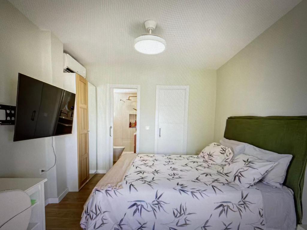 a bedroom with a bed and a television in it at Malaga entire rental unit in Málaga