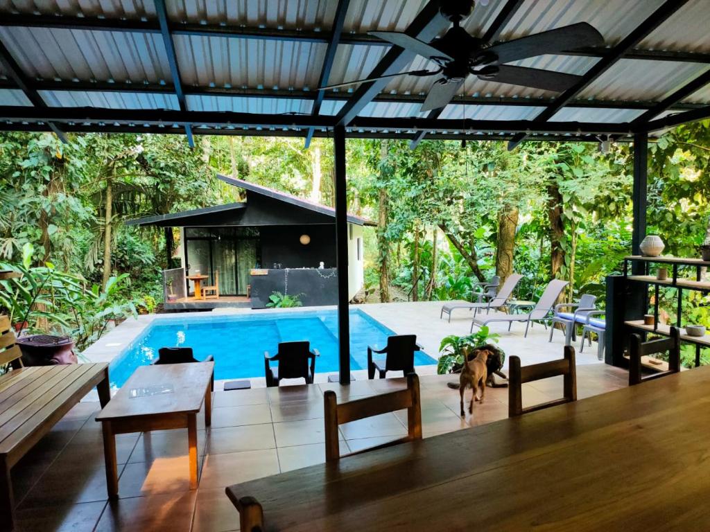 Bazén v ubytování Finca Ardilla Jungle Lodge nebo v jeho okolí