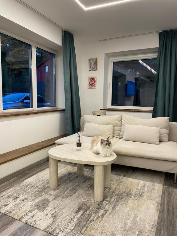 Khu vực ghế ngồi tại Markuciai Studio