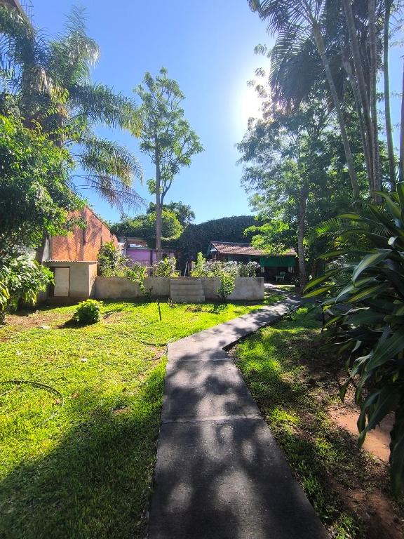 a walking path in a yard with trees at Guavirá cabañas and rooms in Puerto Iguazú