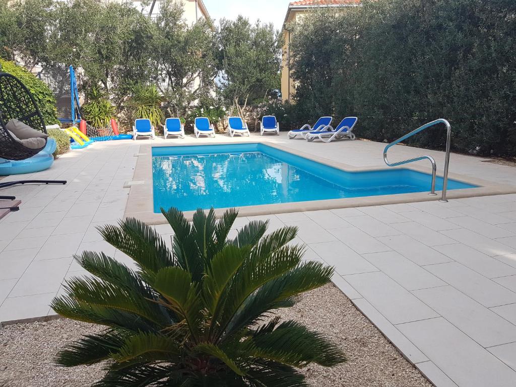a swimming pool with blue chairs and a palm tree at Villa Ana Sevid in Sevid
