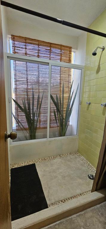 a bathroom with a window with two plants in the shower at Villas Coral in Dzidzantún