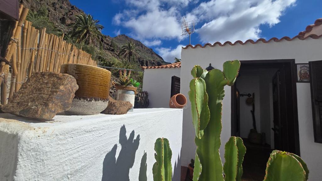 a cactus sitting on a wall next to a house at The Haven of Happiness in Fátaga