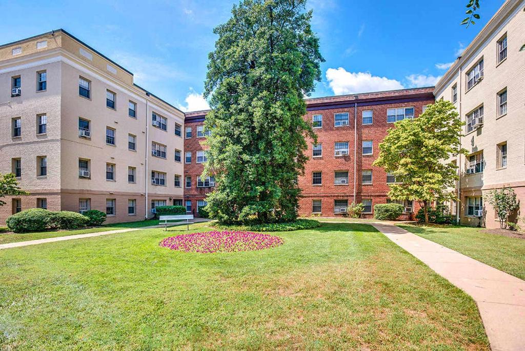 un gran árbol en medio de un césped frente a un edificio en Comfy & Relaxing Apt, en Alexandria