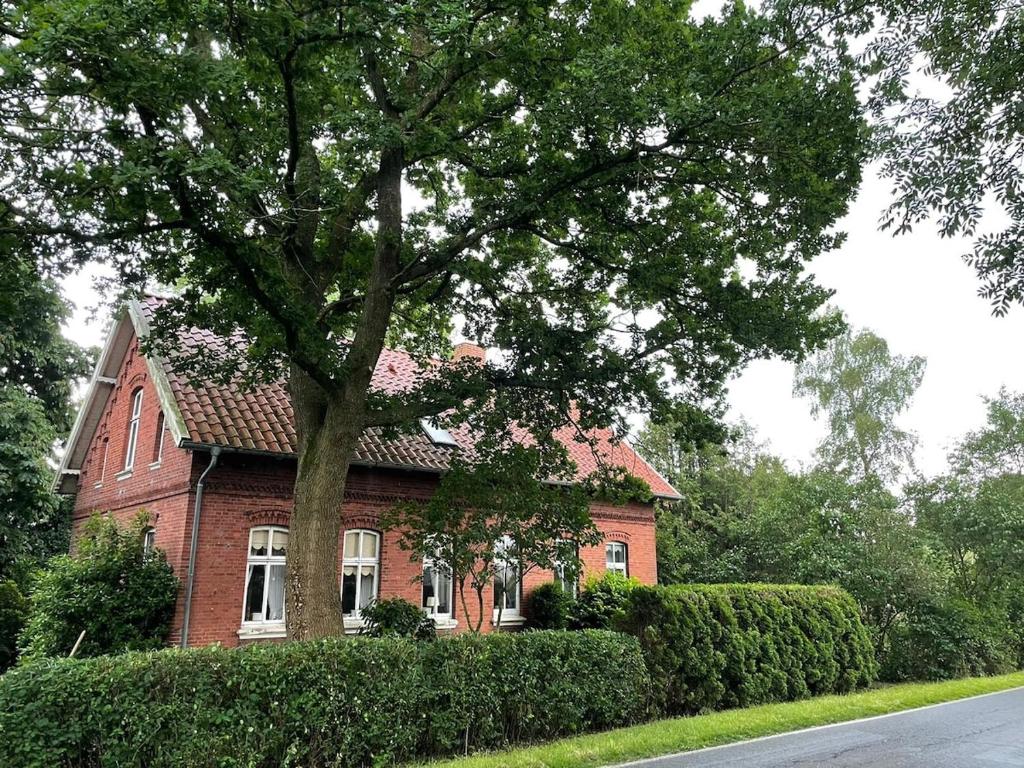 a red brick house with a tree in front of it at Haus Ostfriesland Jemgum in Jemgum